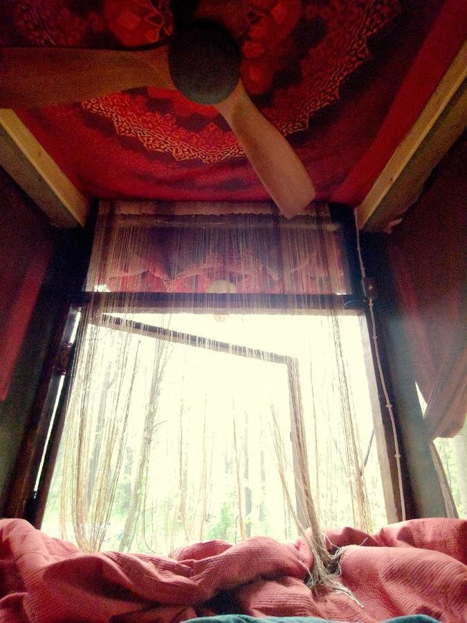 Lost River Hostel 프렌치릭 외부 사진